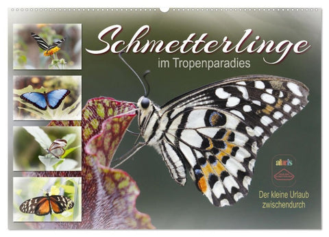 Schmetterlinge im Tropenparadies (Wandkalender 2027 DIN A2 quer), CALVENDO Monatskalender