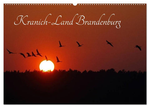 Kranich-Land Brandenburg (Wandkalender 2027 DIN A2 quer), CALVENDO Monatskalender
