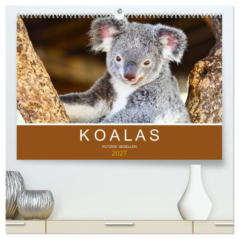 Koalas, putzige Gesellen (hochwertiger Premium Wandkalender 2027 DIN A2 quer), Kunstdruck in Hochglanz