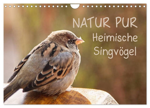 NATUR PUR Heimische Singvögel (Wandkalender 2026 DIN A4 quer), CALVENDO Monatskalender