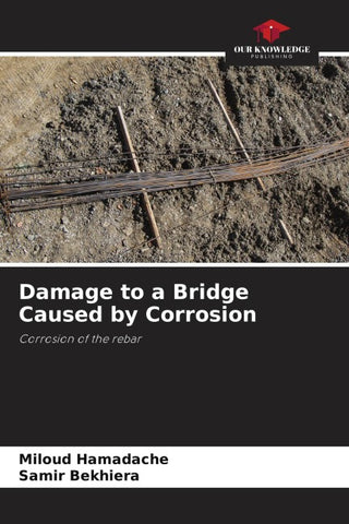 Damage to a Bridge Caused by Corrosion