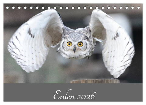 Eulen 2026 (Tischkalender 2026 DIN A5 quer), CALVENDO Monatskalender