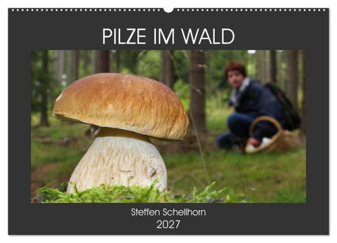 PILZE IM WALD (Wandkalender 2027 DIN A2 quer), CALVENDO Monatskalender