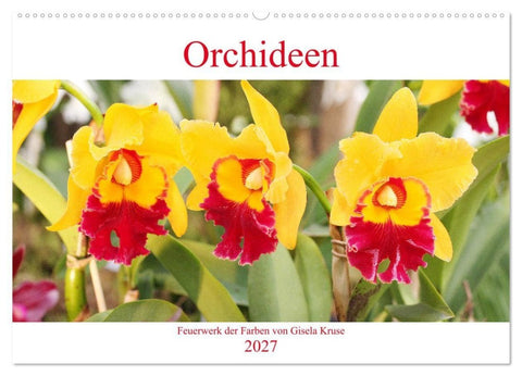 Orchideen Feuerwerk der Farben (Wandkalender 2027 DIN A2 quer), CALVENDO Monatskalender