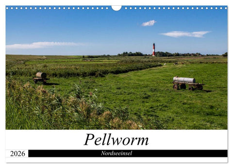Nordseeinsel Pellworm 2026 (Wandkalender 2026 DIN A3 quer), CALVENDO Monatskalender