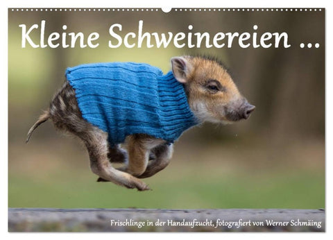 Kleine Schweinereien (Wandkalender 2026 DIN A2 quer), CALVENDO Monatskalender