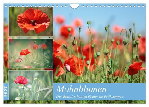 Mohnblumen (Wandkalender 2027 DIN A4 quer), CALVENDO Monatskalender