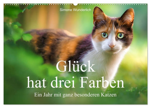 Glück hat drei Farben - ein Jahr mit ganz besonderen Katzen (Wandkalender 2027 DIN A2 quer), CALVENDO Monatskalender