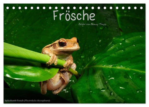 Frösche (Tischkalender 2027 DIN A5 quer), CALVENDO Monatskalender