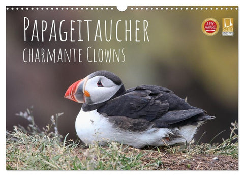 Papageitaucher - charmante Clowns (Wandkalender 2027 DIN A3 quer), CALVENDO Monatskalender