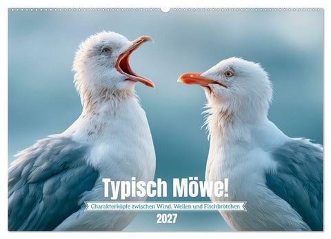 Typisch Möwe! (Wandkalender 2027 DIN A2 quer), CALVENDO Monatskalender