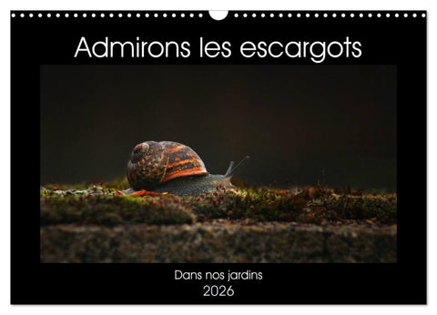 Admirons les escargots (Calendrier mural 2026 DIN A3 vertical), CALVENDO calendrier mensuel