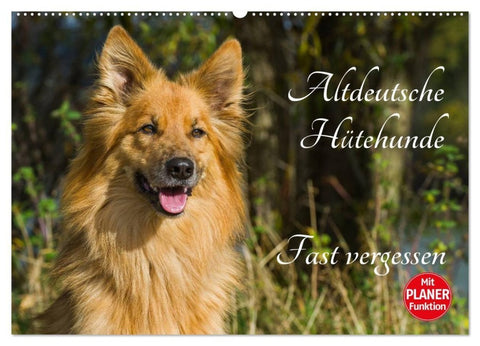 Altdeutsche Hütehunde - Fast vergessen (Wandkalender 2027 DIN A2 quer), CALVENDO Monatskalender