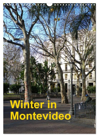 Winter in Montevideo (Wandkalender 2026 DIN A3 hoch), CALVENDO Monatskalender