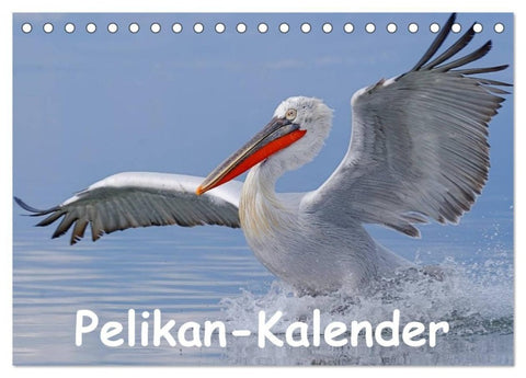 Pelikan-Kalender (Tischkalender 2027 DIN A5 quer), CALVENDO Monatskalender