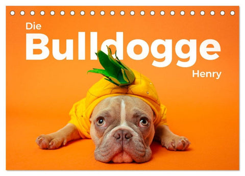 Die Bulldogge Henry (Tischkalender 2026 DIN A5 quer), CALVENDO Monatskalender