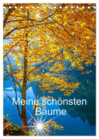 Meine schönsten Bäume (Tischkalender 2027 DIN A5 hoch), CALVENDO Monatskalender