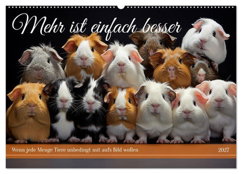 Mehr ist einfach besser (Wandkalender 2027 DIN A2 quer), CALVENDO Monatskalender