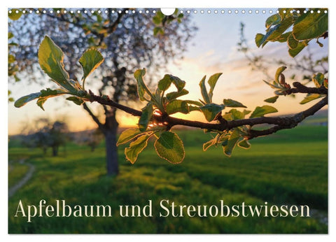 Apfelbaum und Streuobstwiesen (Wandkalender 2026 DIN A3 quer), CALVENDO Monatskalender