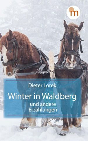Winter in Waldberg und andere Erzählungen