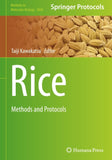 Rice