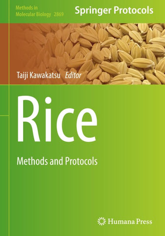 Rice