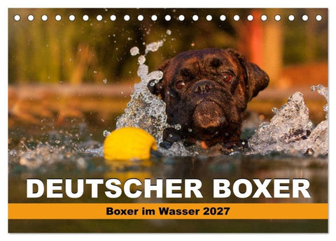 Deutscher Boxer - Boxer im Wasser 2027 (Tischkalender 2027 DIN A5 quer), CALVENDO Monatskalender