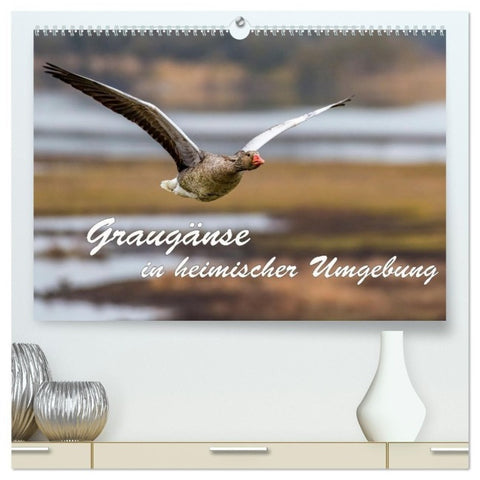 Graugänse in heimischer Umgebung (hochwertiger Premium Wandkalender 2027 DIN A2 quer), Kunstdruck in Hochglanz