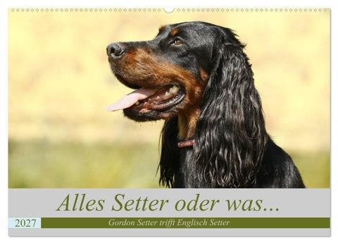 Alles Setter oder was (Wandkalender 2027 DIN A2 quer), CALVENDO Monatskalender