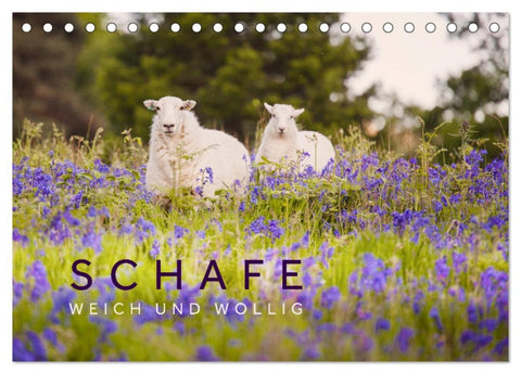 Schafe - Weich und wollig (Tischkalender 2026 DIN A5 quer), CALVENDO Monatskalender