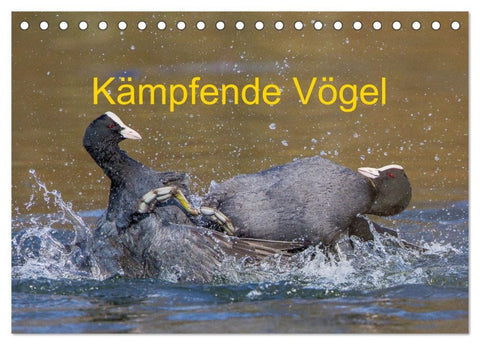 Kämpfende Vögel (Tischkalender 2027 DIN A5 quer), CALVENDO Monatskalender