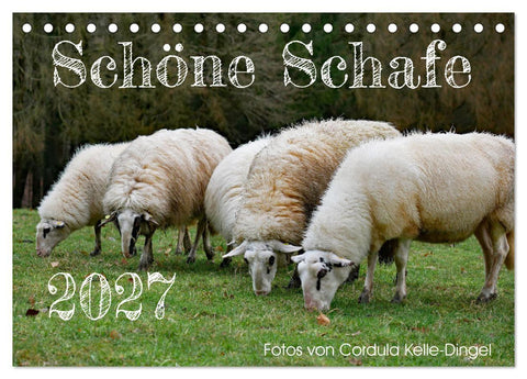 Schöne Schafe (Tischkalender 2027 DIN A5 quer), CALVENDO Monatskalender