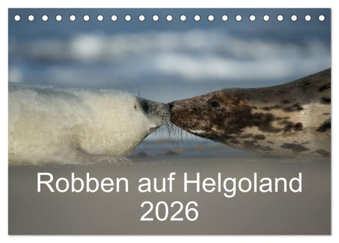 Robben auf Helgoland 2026 (Tischkalender 2026 DIN A5 quer), CALVENDO Monatskalender