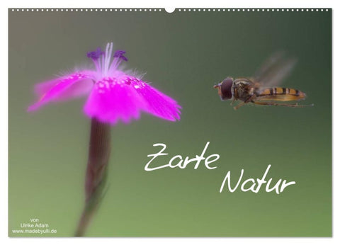 Zarte Natur 2026 (Wandkalender 2026 DIN A2 quer), CALVENDO Monatskalender