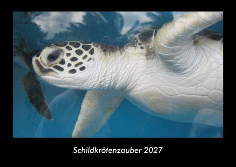 Schildkrötenzauber 2027 Fotokalender DIN A3
