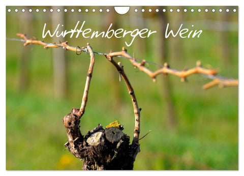 Württemberger Wein 2026 (Wandkalender 2026 DIN A4 quer), CALVENDO Monatskalender