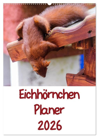 Eichhörnchen Planer 2026 (Wandkalender 2026 DIN A2 hoch), CALVENDO Monatskalender