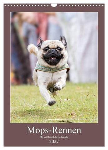 Mops-Rennen (Wandkalender 2027 DIN A3 hoch), CALVENDO Monatskalender