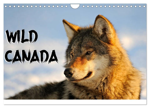 Wild Canada (Wall Calendar 2026 DIN A4 landscape), CALVENDO 12 Month Wall Calendar
