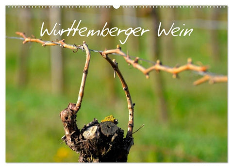 Württemberger Wein 2027 (Wandkalender 2027 DIN A2 quer), CALVENDO Monatskalender