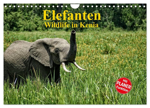 Elefanten . Wildlife in Kenia (Wandkalender 2026 DIN A4 quer), CALVENDO Monatskalender