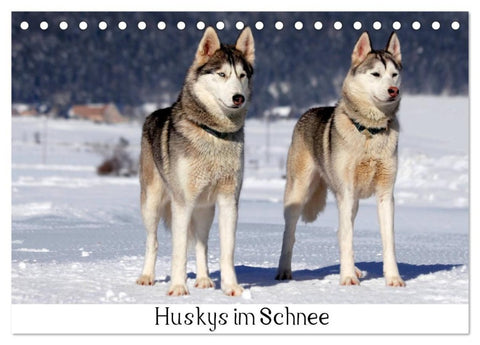 Huskys im Schnee (Tischkalender 2027 DIN A5 quer), CALVENDO Monatskalender