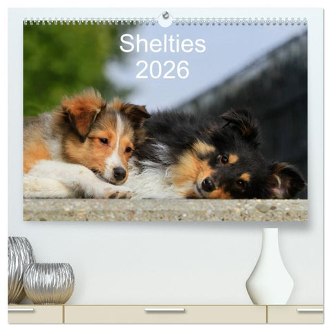 Shelties 2026 (hochwertiger Premium Wandkalender 2026 DIN A2 quer), Kunstdruck in Hochglanz