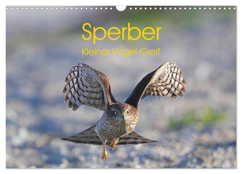 Sperber - Kleiner Vogel Greif (Wandkalender 2027 DIN A3 quer), CALVENDO Monatskalender
