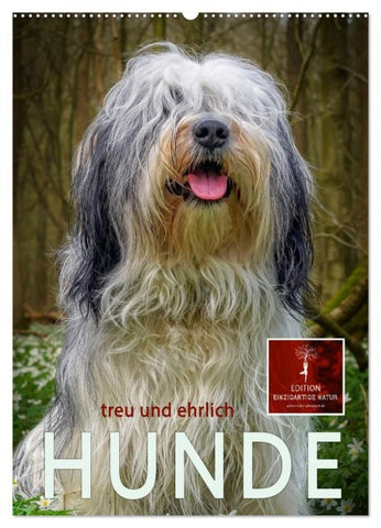 Hunde - treu und ehrlich (Wandkalender 2027 DIN A2 hoch), CALVENDO Monatskalender