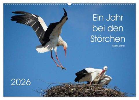 Ein Jahr bei den Störchen (Wandkalender 2026 DIN A2 quer), CALVENDO Monatskalender