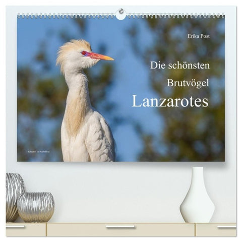 Die schönsten Brutvögel Lanzarotes (hochwertiger Premium Wandkalender 2027 DIN A2 quer), Kunstdruck in Hochglanz