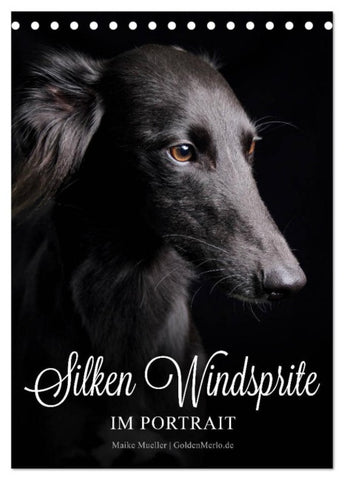 Silken Windsprite im Portrait (Tischkalender 2027 DIN A5 hoch), CALVENDO Monatskalender