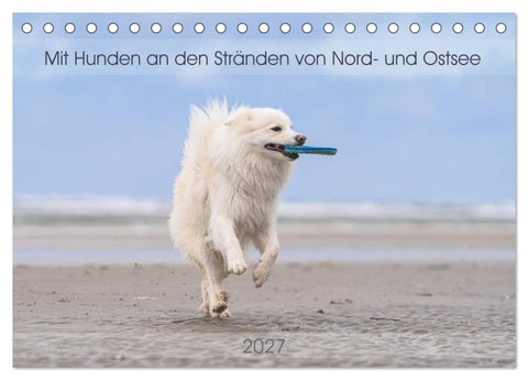 Mit Hunden an den Stränden von Nord- und Ostsee (Tischkalender 2027 DIN A5 quer), CALVENDO Monatskalender