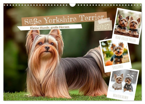 Süße Yorkshire Terrier - Kleine Hunde, große Herzen (Wandkalender 2027 DIN A3 quer), CALVENDO Monatskalender